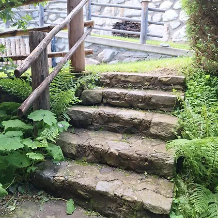 Apartment Adlerhutte