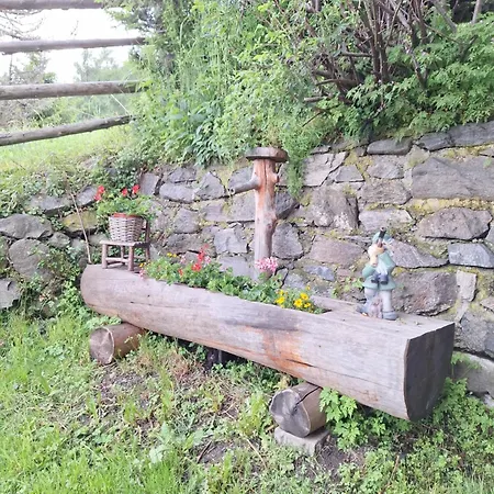 Adlerhutte Apartment *